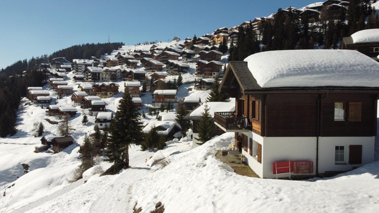 Chalet Foresta Bettmeralp Kültér fotó
