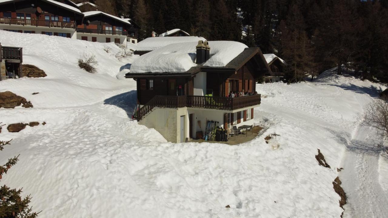 Chalet Foresta Bettmeralp Kültér fotó