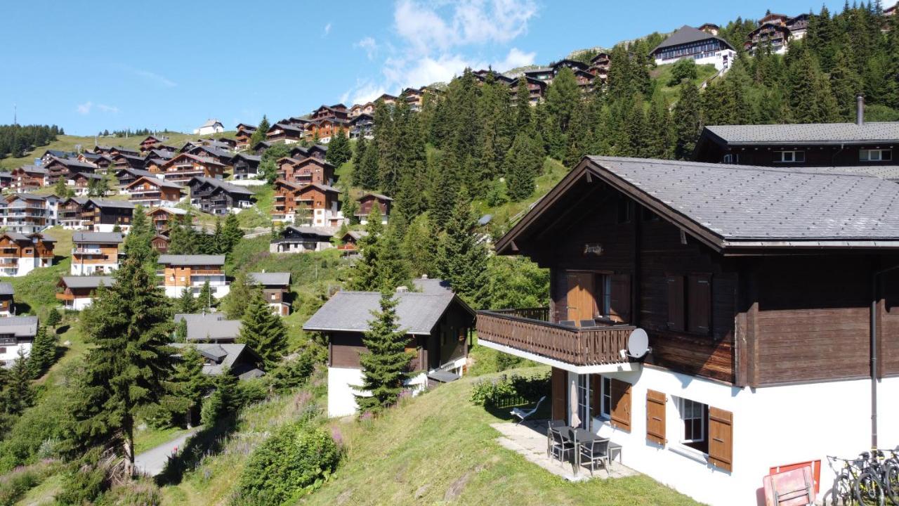 Chalet Foresta Bettmeralp Kültér fotó