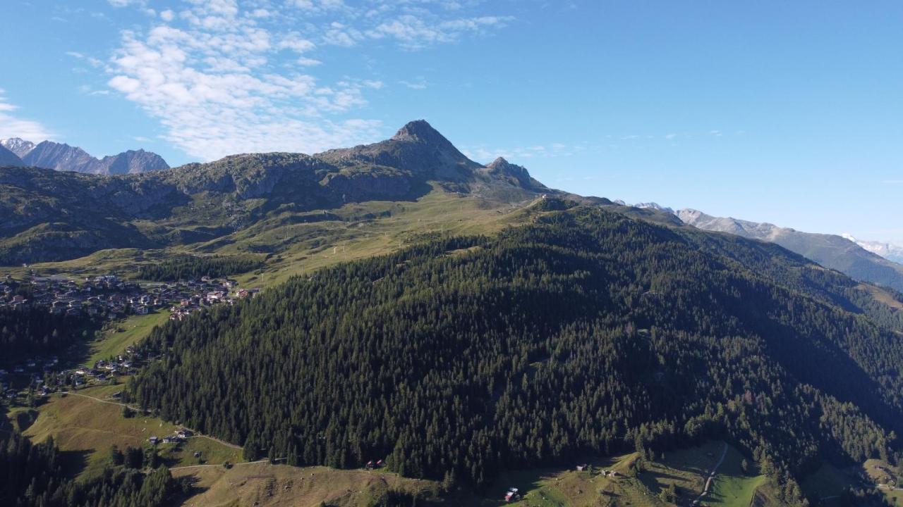 Chalet Foresta Bettmeralp Kültér fotó