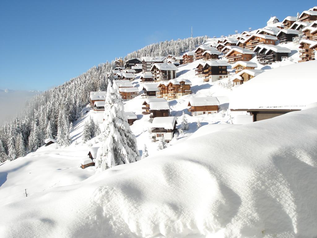 Chalet Foresta Bettmeralp Kültér fotó