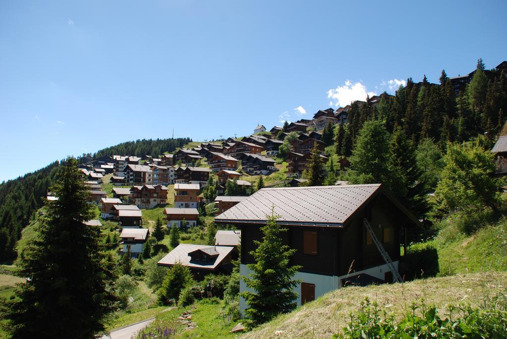 Chalet Foresta Bettmeralp Kültér fotó
