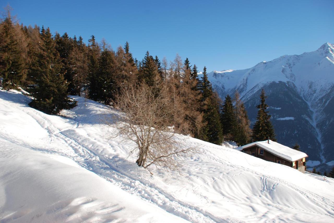 Chalet Foresta Bettmeralp Kültér fotó